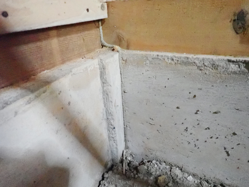 蟻道 シロアリの通り道 プレビュー